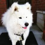 Arya - 1 year old