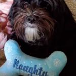 Sweet not naughty