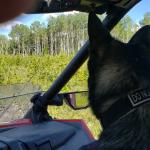 I go with dad everywhere