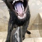 I love the blow dryer