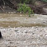 River Day - I love river days