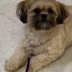 Training day Dec 2021