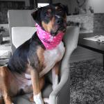 Dwight FRASER of Tribal Opus xPert