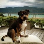 Dwight FRASER of Tribal Opus xPert