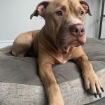 Just want to be loved hugged and belly rubs