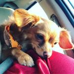 My LiL Mamas Moana ♥️