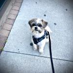 Charlie sitting and waiting