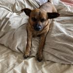 Ruby in one of her favorite spots