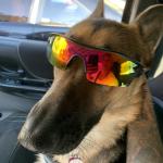 18 months Strong and healthy