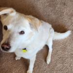 Charlie193720251111