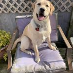 Updated photo of Maisy