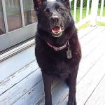 Xena is my hero and my heart