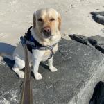 Renny at 3 years, 6 months.