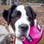 Lovin life as a helper!