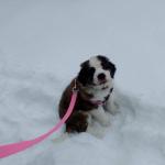 I don't remember ever being this small.