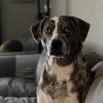 Heartleigh’s Profile Picture