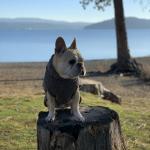 Beaker @ Coeur D’Alene