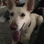 Zaggi at one and a half almost two