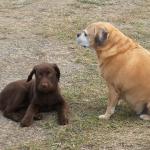 My new sister doesnt like me much