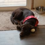 My first christmas present