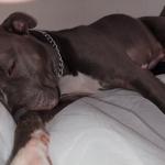 Nap time for a tired boy