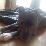 Loves to pose for the camera