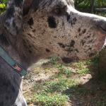 Updated picture of Titan 2021