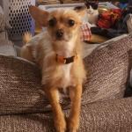 She's a perky gal loves a photo op