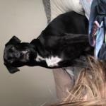 This is a photo of Wilfred