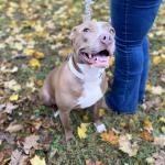 Paisley Renae Dennie