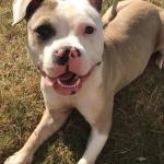 Who’s mommy’s smiley girl