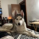 Storm Relaxing with Me