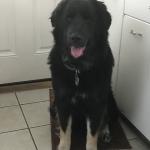 Zeus is my forever