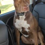 Tucker is handsome