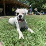 Daisytucker2021