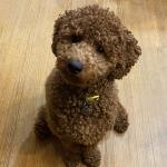 Daisy Lou Weinischke