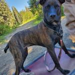 Camping with the family