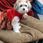 Nina's Nuñez new look for 2021