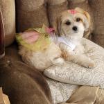 Nina's Nuñez new look for 2021