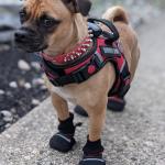 Going for an adventure