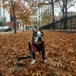 Taken a break in the park