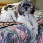 Skyler in Minden Ontario