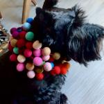 Franklin Accessorized!!!