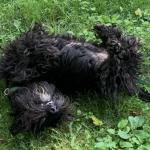 Letting His Hair Down!