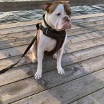 Remingtons nature walk