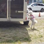 Lucy Evens detection practice