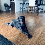 My beautiful Roxy ?