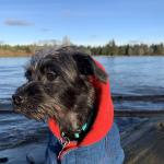 Bella Rose at the Beach