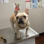 Maxo helps with anxiety and depression issues