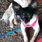 Sophie looking right at ya